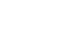 sheep2 white